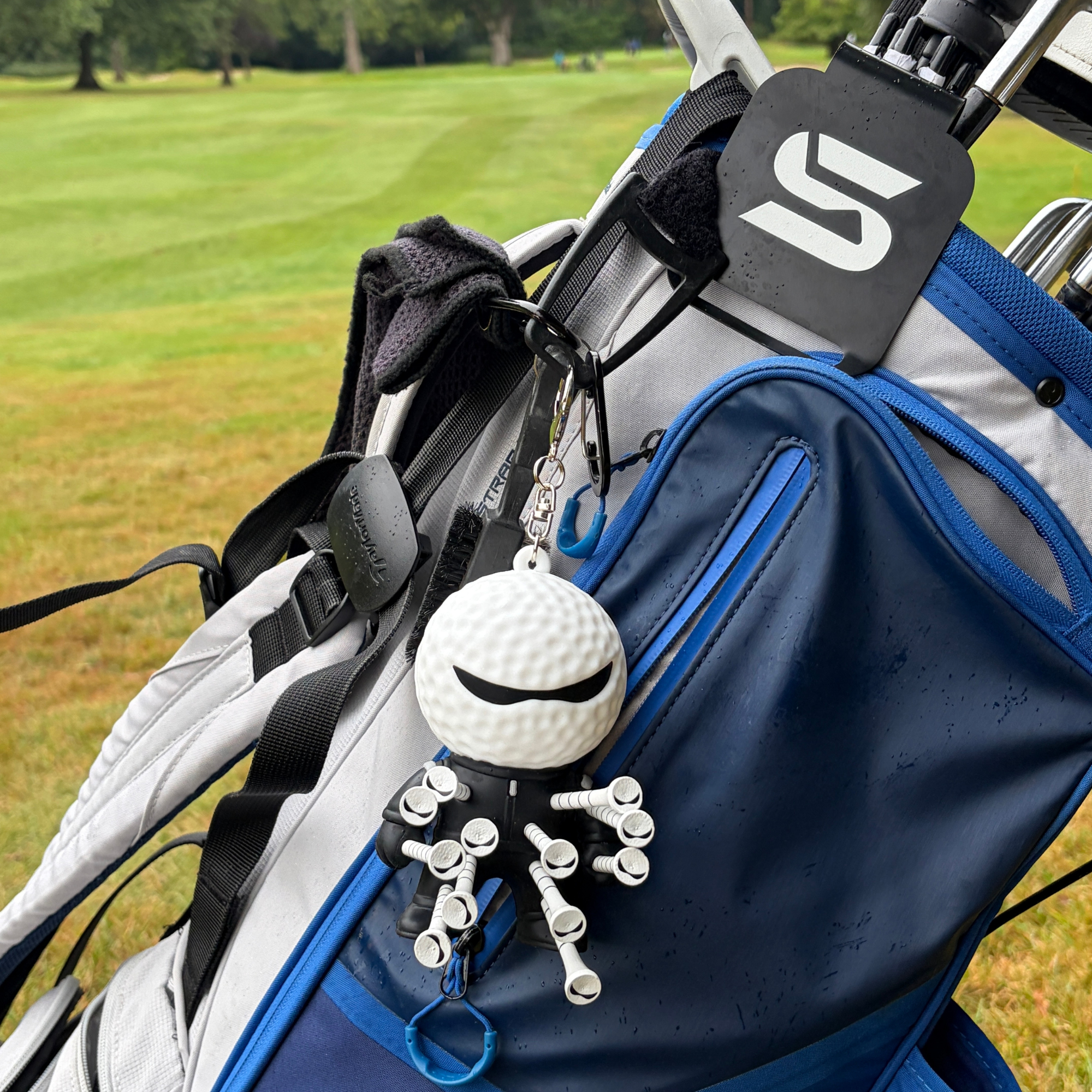 Mr Tee Golf Tee Holder With 12 Themed Golf Tees - Holds 12 Tees