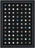 Golf Ball Marker Display Case – Holds 77 Markers | Wall Mounted Golf Gift