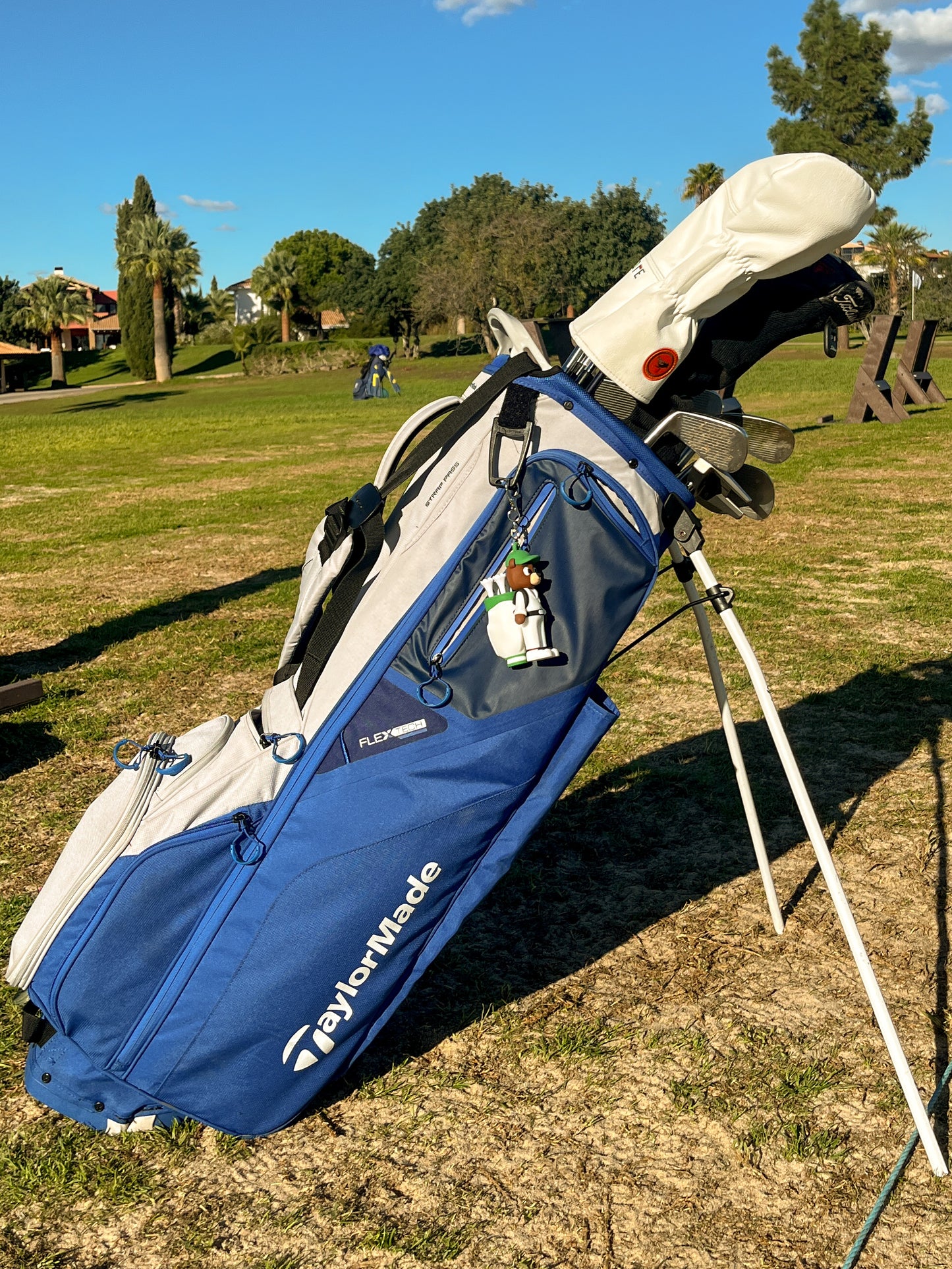 BearTee Golf Tee Holder ~ Comes with 4 matching golf tees ~ Lightweight and Durable